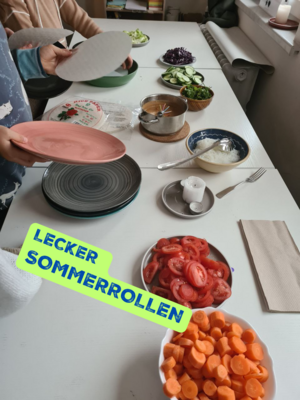 Sommerrollen2